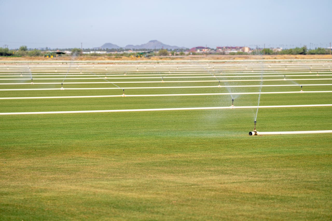 Expansive farmland with automatic irrigation sprinklers watering green fields.
